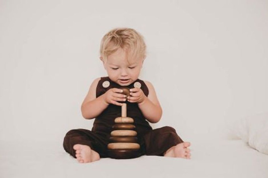 Puzzles & Musical QToys | Qtoys - Natural Stacking Rings