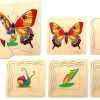 Type Of Play Fun Factory | Fun Factory - Wooden Lifecycle Puzzle Butterfly