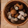 Type Of Play QToys | Qtoys - Wooden Mushrooms