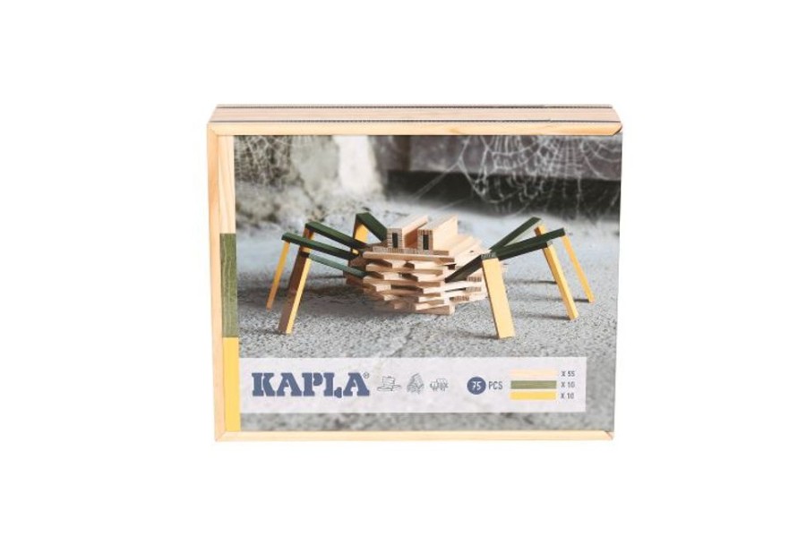 Type Of Play KAPLA | Kapla - Spider Case